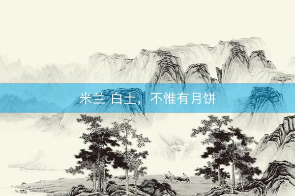 米兰 白土，不惟有月饼