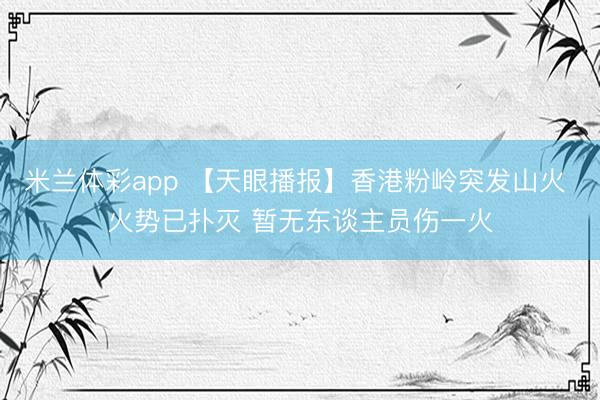 米兰体彩app 【天眼播报】香港粉岭突发山火 火势已扑灭 暂无东谈主员伤一火